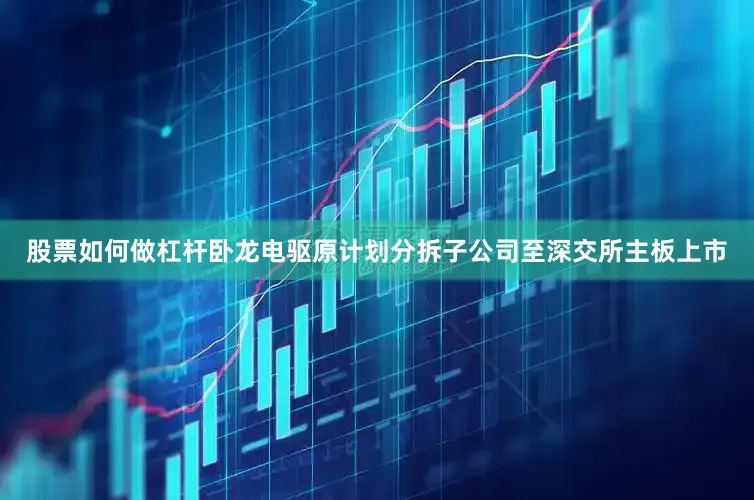 股票如何做杠杆卧龙电驱原计划分拆子公司至深交所主板上市