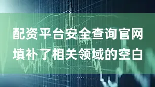 配资平台安全查询官网填补了相关领域的空白